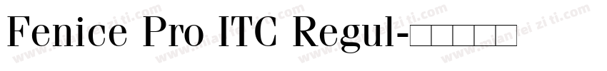 Fenice Pro ITC Regul字体转换